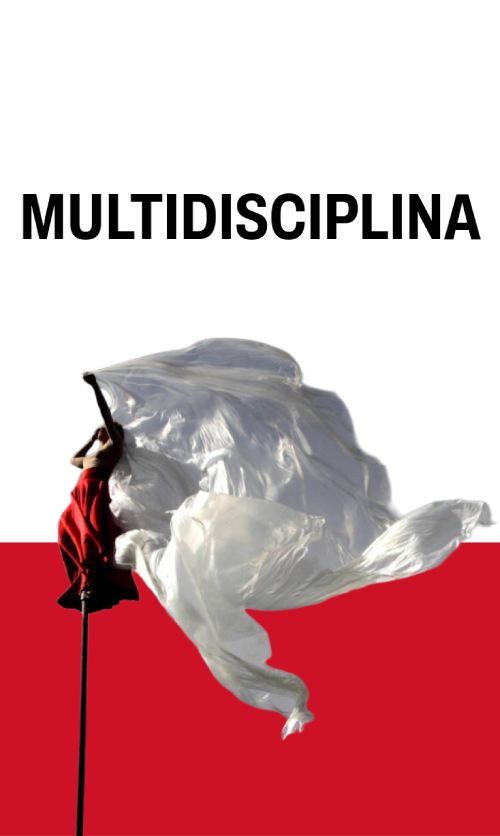 Multidisciplina