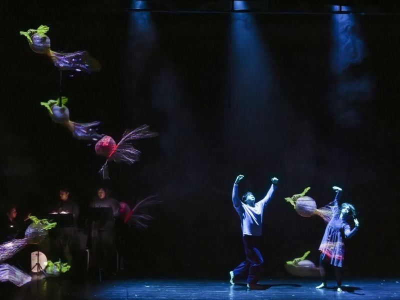 Stage of the Arts México & Compañía Flotante
