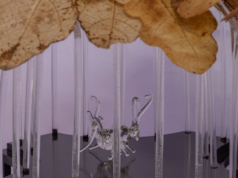 <em>Herbario del reino artificial&nbsp;</em><br /><em>Sami E. Nicolle en di&aacute;logo con obras de Alfredo Dug&egrave;s</em>