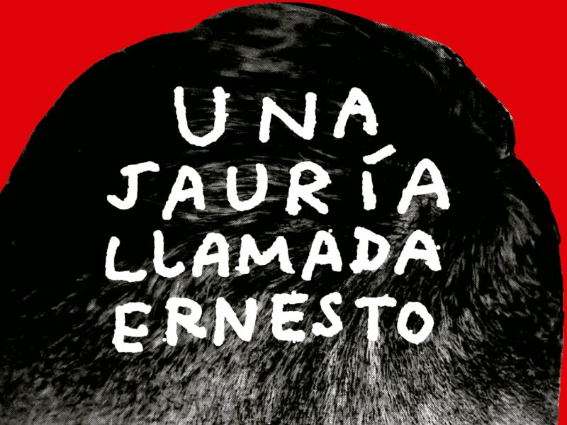 <em>Una jaur&iacute;a llamada Ernesto</em>