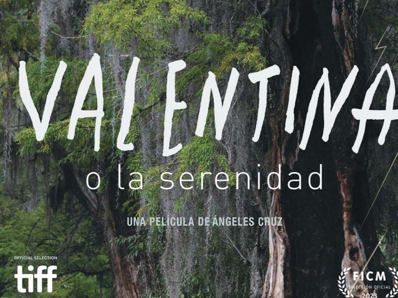 <em>Valentina o la serenidad</em>