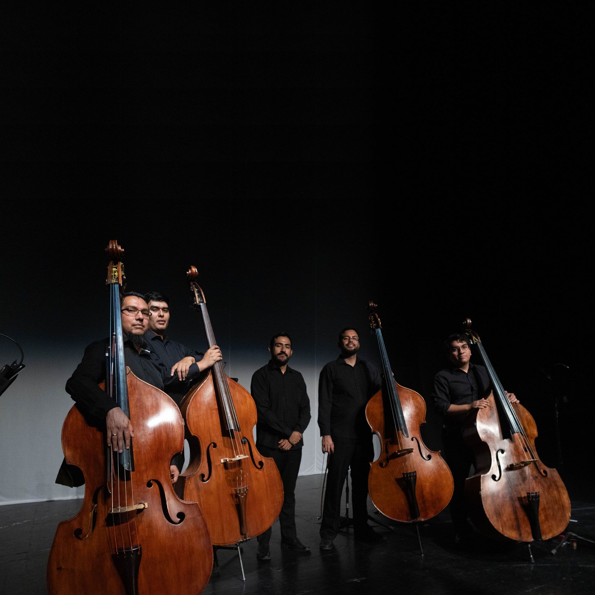Mushamukas Ensamble de Contrabajos