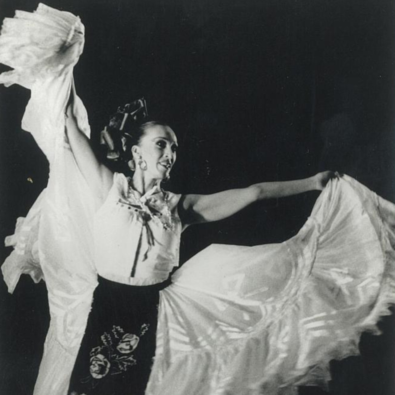 Amalia Viviana Basanta Hernández