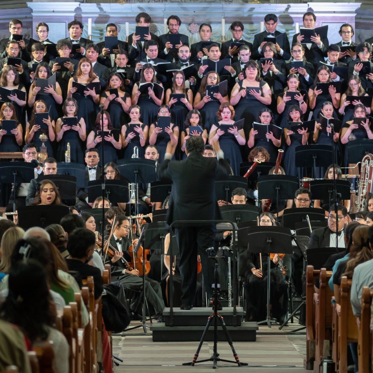 Orquesta Sinfónica Juvenil Silvestre Revueltas