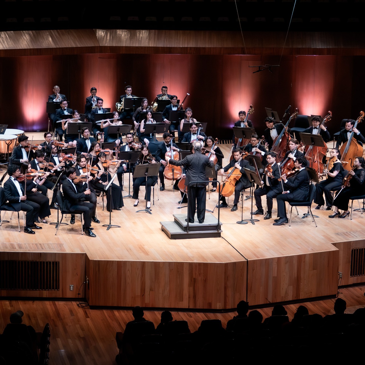 Orquesta Juvenil Universitaria Eduardo Mata