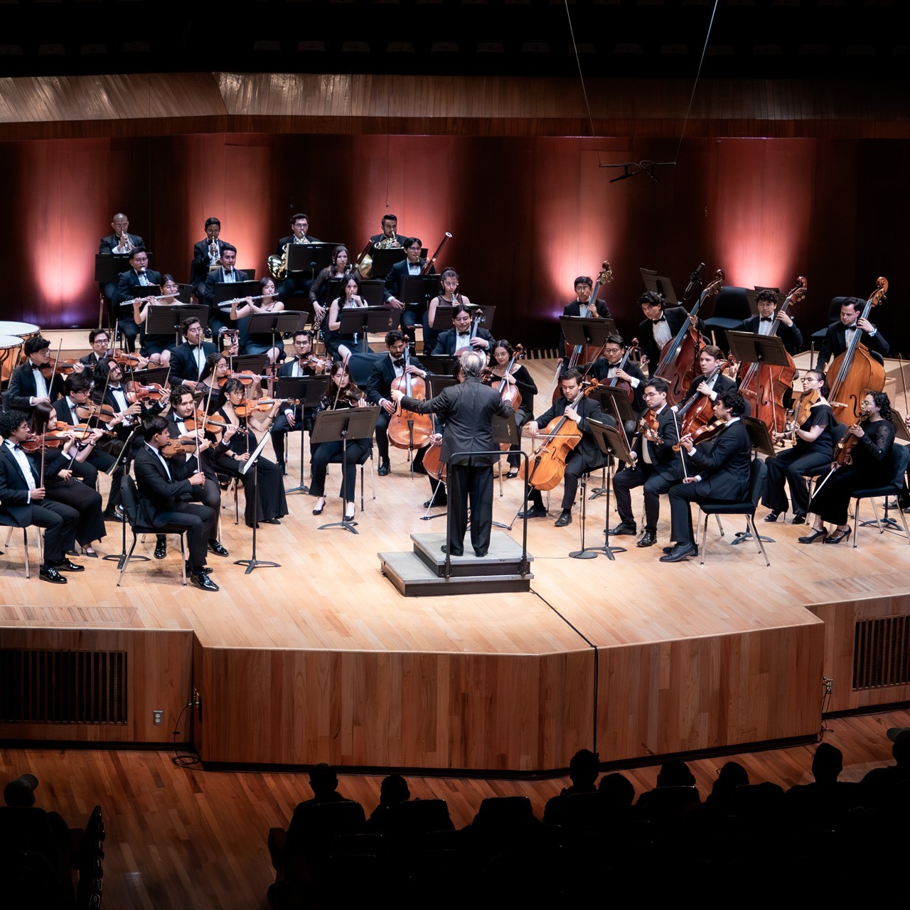 Orquesta Juvenil Universitaria Eduardo Mata