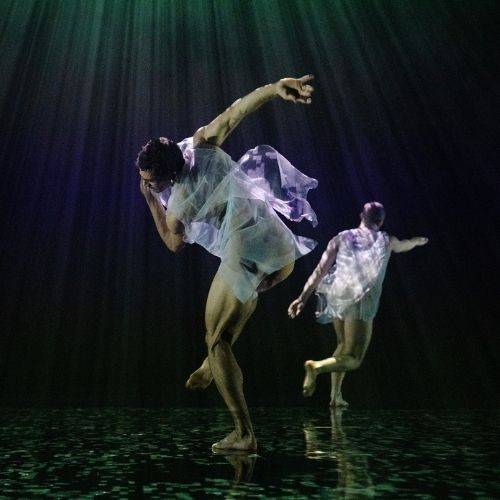 Compañía Wayne Mcgregor