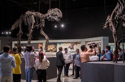 PROYECTAN ARTES PLÁSTICAS Y DIGITALES IDENTIDADES DE CUBA Y COAHUILA