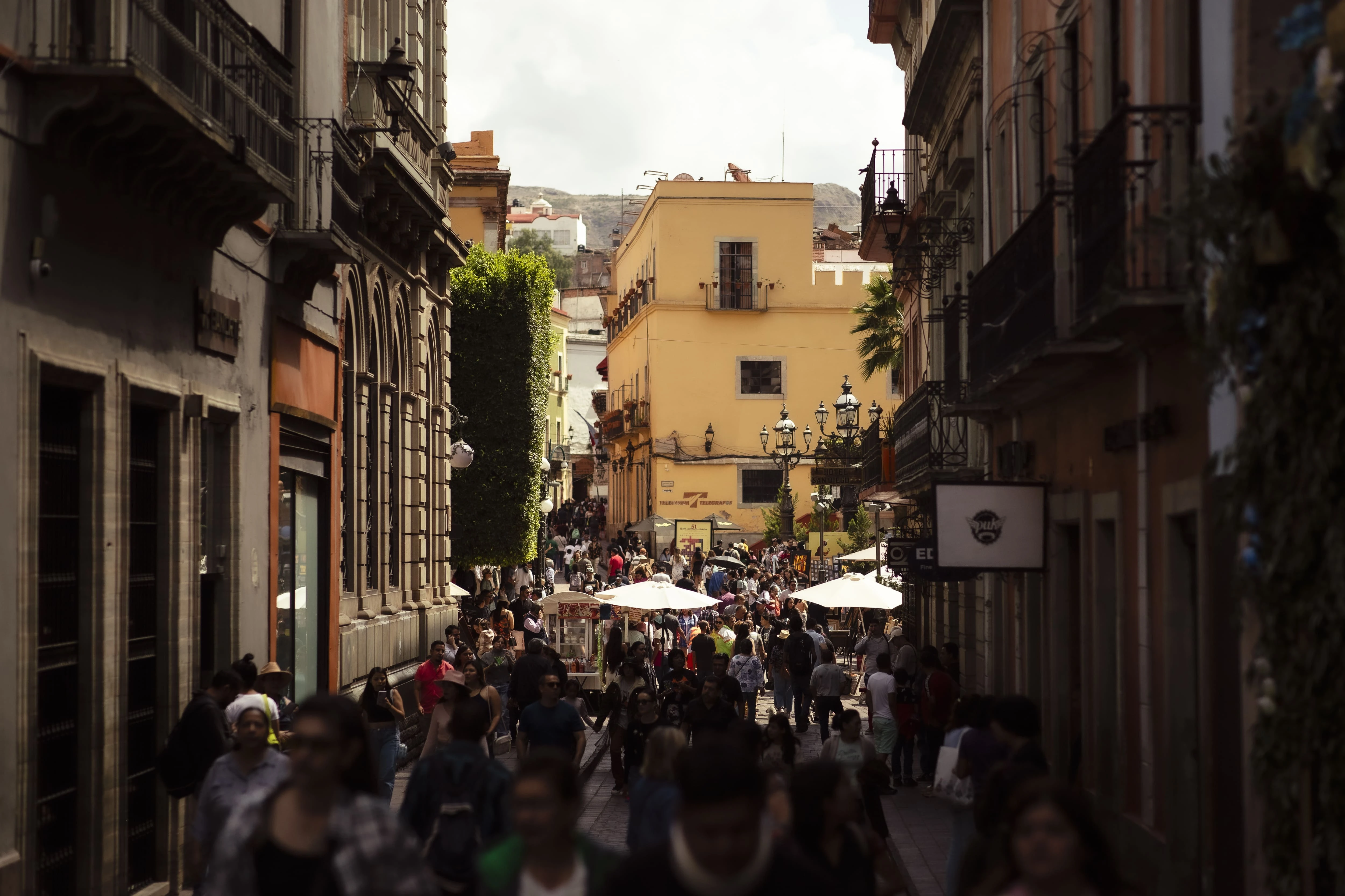 EL FIC EN BREVE
De la página a la calle: Recorridos Literarios del 54 FIC